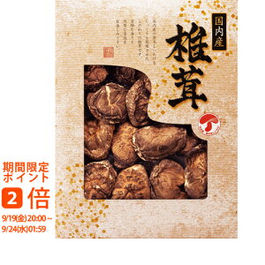 Yǂ񂱒ő(Mtg@o@o@Cj@@j@Ԃ@z@A@TԂ)