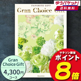 【ゆうパケット便 送料無料】グランチョイスギフト4300円コース カタログギフト 引き出物 内祝い 出産内祝い 結婚内祝い ギフト 香典返し 法要 快気祝い 快気内祝い 新築内祝い お祝い お礼 御礼 御挨拶 定番 記念品 お中元 御中元 お歳暮 御歳暮 グルメ 大量 複数配送