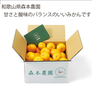 yzyԌzy[J[zS a̎RX{_IB݂3kg (ʕ t[c)