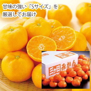 yzyԌzy[J[zS ÉYOP݂3kg YO-430(Â݂̋STCY@uh݂@t[c ʕ@)