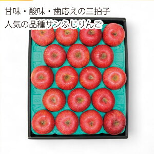 y[J[zS MBTӂ5kg YO-724(Ε Ε ~Mtg)