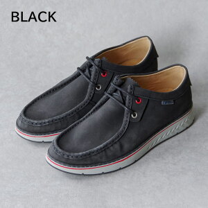 ySTORM Xg[zfbLV[Y yB2455zXG[h {v JV [t@[ Xj[J[ Xj[J[\[ Y XG[hU[ o[\[ JWA ubN uE x[W