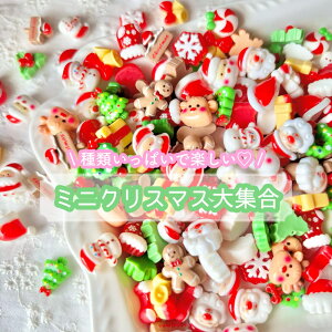 y20z~jNX}XW 낢~bNX fRp[cy_z12mmx p[c vp[c DIYp[c fR[V nhCh ANZT[p[c Xmas Christmas Ⴞ N