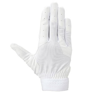 Mizuno ~Ym K`܁yEpzZ싅[Ήf zCg×zCg 1EJEH02310