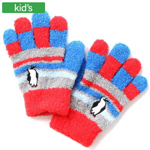 CHUMS `X LbYu[r[O[u LbY 5`8Ό  Lk CH27-1042