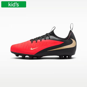 NIKE �i�C�L �T�b�J�[�X�p�C�N �W���j�A �t�@���g�� 6 LOW �A�J�f�~�[ �n�[�h�O���E���h �L�b�Y HQ2046-600