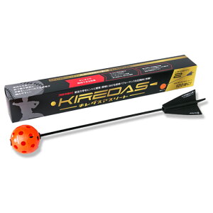 KIREDAS L_X V2AX[g L_XE㋉Ҍ 싅 \tg{[ KMA P g[jO