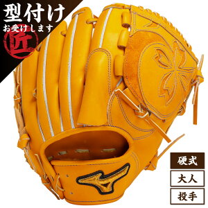 Mizuno Pro ミズノプロ 投手用 ヨコ型 サイズ11 BSSショップ限定 大人 硬式用 ピッチャー グローブ グラブ 野球 ベースボール 1AJGH31201