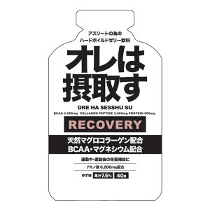 I͐ێ悷 Jo[ gѕ⋋WF 䂸 1 40g Tv A~m_ }OR[Qyv`h BCAA }OlVE zGCyv`h }\ gC
