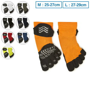 TABIO SPORTS �^�r�I �X�|�[�c ���[�V���O�����E�v���ܖ{�w M-L�T�C�Y �\�b�N�X �C�� 5�{�w �����j���O �}���\�� �W���M���O ���{�� 8�J���[
