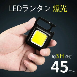 d COB Cg ~jCg ~j TypeC Ɠ [dCg^ led LED^ [d usb[dd h 