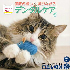 【 楽天1位 歯磨きを嫌がる猫ちゃんへ 】 猫 おもちゃ 歯磨き またたび入り ねずみ デンタルケア 噛む 口臭 ケア 対策 口腔ケア 一人遊び 歯周病 歯石 歯垢 にゃんこの宿 【猫ちゃんが気に入らなければ全額返金保証】