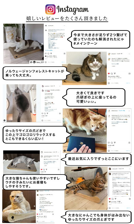 楽天市場 獣医師監修 もうはみ出さない 爪とぎ 猫 大きな猫 ぽっちゃり猫 つめとぎ 大きいサイズ にゃんこの宿 爪研ぎ ねこ 猫 にゃんと極楽 ベッド ネコ 段ボール ねこのおもちゃ 爪トギ Cat 爪とき つめとき 猫用品 グッズ ダンボール ビッグ R A N S0000 楽天市場 獣医師監修 もうはみ出さない 爪とぎ 猫 大きな猫 ぽっちゃり猫 つめとぎ 大きいサイズ にゃんこの宿 爪研ぎ ねこ 猫 にゃんと極楽 ベッド ネコ 段ボール ねこのおもちゃ 爪トギ Cat 爪とき つめとき 猫用品 グッズ ダンボール ビッグ R A N S0000