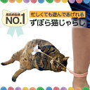 【 楽天1位 テレビ紹介されました 雑誌猫びより掲載 】 猫 おもちゃ 獣医師監修 忙しくても遊んであげられる ずぼら猫…