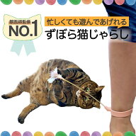 【 楽天1位 テレビ紹介されました 雑誌猫びより掲載 】 猫 おもちゃ 獣医師監修 忙しくても遊んであげら…