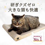 【 楽天1位 とぎかすゼロ 1年使える高耐久 】 猫 爪研ぎ ベッド レビュー平均4.78 ぽっちゃり猫OK 獣医師…