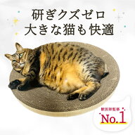 【 楽天1位 とぎかすゼロ 6ヵ月使える高耐久 】 爪とぎ 猫 爪研ぎ 丸型 大きな猫 ぽっちゃり猫OK つめと…