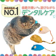 【 楽天1位 レビュー平均4.73 歯磨き 嫌いでも遊びながら デンタルケア 】猫 おもちゃ ねずみ 猫じゃらし…