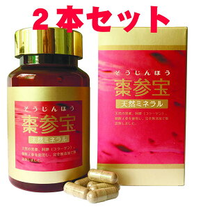 yK̔Xz|Cg5{I 2Zbg Qiقj 330mg×100