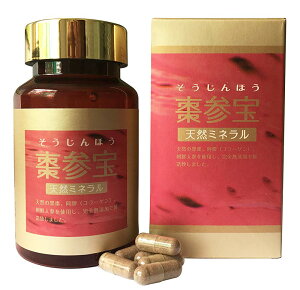 yK̔Xz Qiقj 330mg×100  |Cg5{