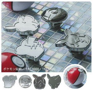 s^`FWhZp pO  ւp Ôݔ̔ O lC y |PbgX^[ sJ`E |P C[uC Pokemon X^[{[ 1kc-3000 1kc-480