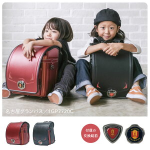 ySALEԌ|Cg5{zy\JnzhZ j̎q 2026 s^`FW OpX Xܒc6Nۏ