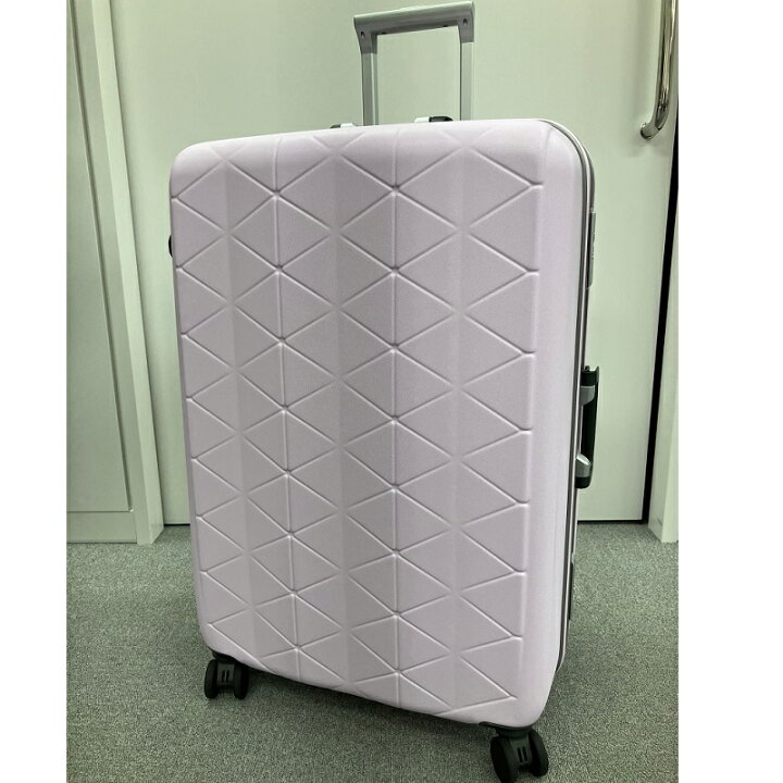 楽天市場】【旅行期間限定ポイント20倍】【サンコー フレームスーツ 