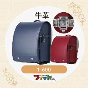 yyVX[p[SALEΏۏizyAEgbgZ[z hZ ̎q j̎q 2024 vtBbg cX6Nԕۏ A4tbgt@CΉ 