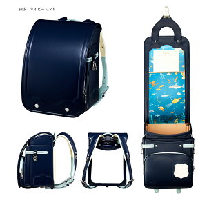 2026�N�x���w���f�� ��w�̗F��~�T��!������~ �n��NASA�����h�Z�� ( �r�r�b�g�s���N&#215;�L������ �~���g&#215;�L������ �l�C�r�[&#215;�~���g)�����h�Z�� �y�� �y�� �l�H��v ���S�̏��Ȃ� �l�C �ӂ�股