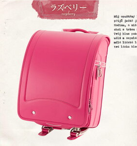 [AhAC hZ K305L Vv j̎qp ̎qp 2026Nx L `R lCr[ O[ Yx[ r[C A4tbgt@C L[u^