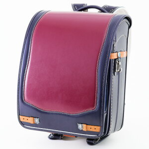 yZ[z[AhAC hZ W264 _fCI j̎qp CjV lCr[C O[`R p[vC A4tbgt@C L[u^