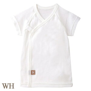 R[ Wacoal xr[Z TCY 50`60A60`70cm 100 炩₷ [1_܂ BGS153 yEVzyPz