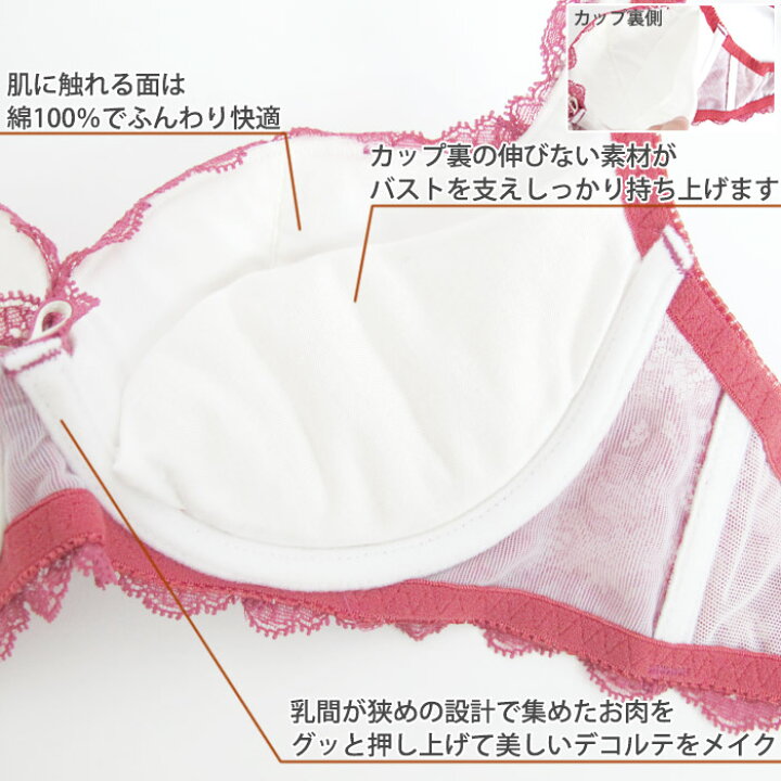 楽天市場】《マラソン期間中ポイント2倍》育乳ブラ 昼 チェスニー 
