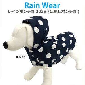 s103܂Ń|Cg10{tsr[300~N[|itC|`2025 p C|` iXL/JLTCYj _uhH ^ ^ { N[N`[ 2-3^ 1248