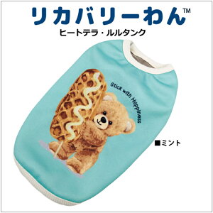 sԌ|Cg5{tq[geE^N [SS3L/STLT] ^Ngbv H~ 앞 p ybgEFA H~ V ^  VjA ewc { N[