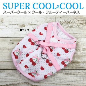 s}\|Cg5{tsr[300~N[|itX[p[N[×N[Et[eB[n[lX N[N`[ p EFA TCYLx ybgEFA ėp ^ ^ 