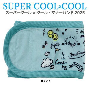 sC[OXӍՃ|Cg5{tsr[300~N[|itX[p[N[N[E}i[oh2025  p EFA ^Ngbv ybgEFA ėp ^ ^Cv VjA