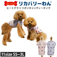 クークチュール 犬 服 リカバリーウェア ヒートテラ リボンキャンディータンク 2026 秋冬 新作 温活 テラ…