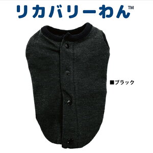 Jo[iewcjwJ^N (3F)ybg p ybgEFA ^ ^ VjA hbOEFA  ewc { N[N`[ Jo[EFA 