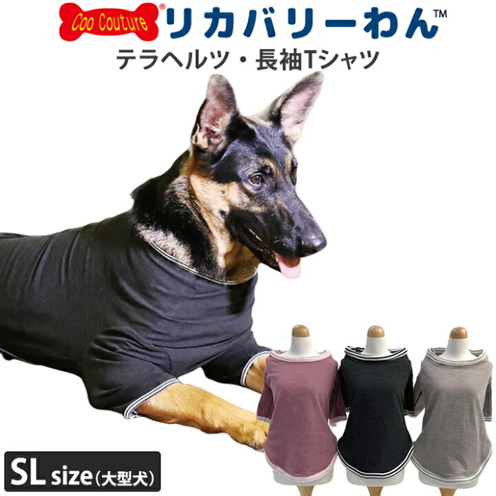 楽天市場】《お買い物マラソンポイント5倍》リカバリーわん 