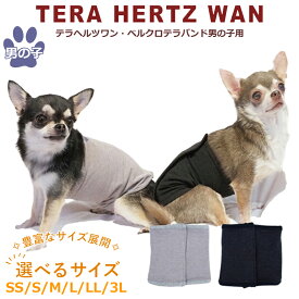 テラヘルツワン・ベルクロテラバンド男の子用[7220]ペット介護用品 犬用 腹巻 ウェア ワンコ ペットウェア 小型犬 シニア犬 ドッグウェア 犬服 テラヘルツワン 日本製 クークチュール ◆2メ-3運◆ 《送料無料》【T】