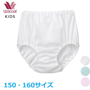R[ Wacoal LbYV[c tFA[eBA(150TCY 160TCY) [3_܂  w CAX104 yPz