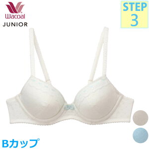 R[ Wacoal WjAuW[ (BJbv)tFA[eBA UC[u 3/4Jbvu Xebv3  w CFX341 yPz