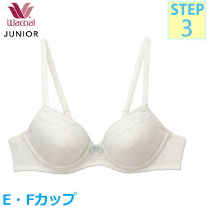 R[ Wacoal WjAuW[ (EJbvEFJbv)tFA[eBA UC[u 3/4Jbvu Xebv3  w CFX341 yPz