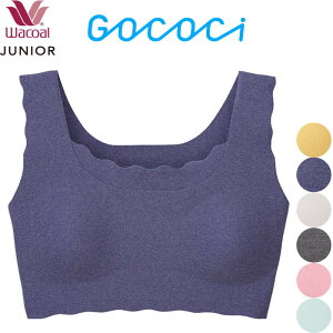 R[ Wacoal WjAuW[ SR`  mC[Ԃ^Cv ̎q tFA[eBA Xebv3 Gococi WjAp [1_܂  w CFX351 yPz