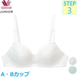 R[ Wacoal WjAuW[ (AJbv/BJbv) LC[u tFA[eBA Xebv3  w CFX387 yPz