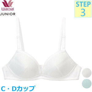 R[ Wacoal WjAuW[ (CJbv/DJbv)LC[u tFA[eBA Xebv3  w CFX387 yPz