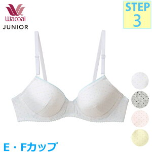 R[ Wacoal WjAuW[ (EJbv FJbv)tFA[eBA UC[u 3/4Jbvu Xebv3  w CFX398 yPz