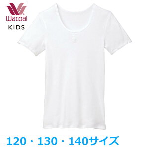 R[LbY Wacoal Ci[ tFA[eBA (120TCY 130TCY 140TCY) [1_܂  w CKV104 yPz