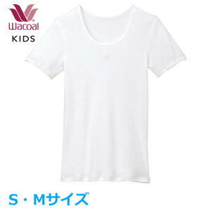 R[LbY Wacoal tFA[eBA Ci[ (STCY MTCY) [1_܂  w CKV104 yPz